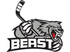 Brampton Beast announce AHL and NHL affiliates