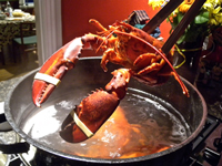 Lobster Yoga